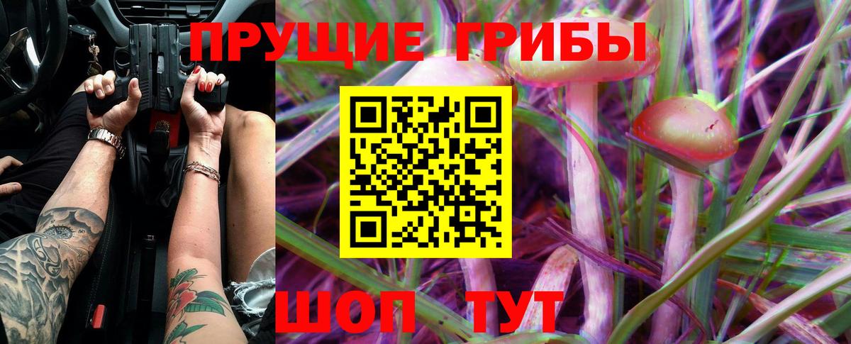 Псилоцибиновые грибы Psilocybine cubensis  как найти   Тула  Вход с VPN 
