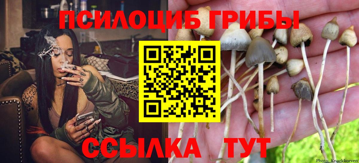 Псилоцибиновые грибы мухоморы Тула